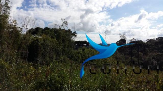 Linda área para lazer ou preservação em agudos do sul - pr - Foto 2
