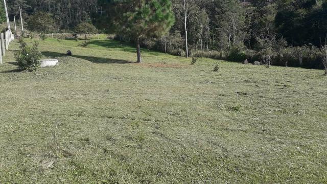 Terreno para Chácara - Foto 4
