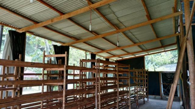 Sítio com 20.000 m²,casa rustica,3 belos na propriedade - Foto 14