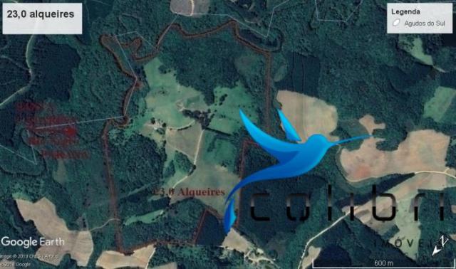 Sítio de porteira fechada em agudos do sul - pr - Foto 17