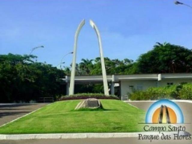 Jazigo no Cemitério Parque das Flores - Farol - Baixei o valor para fechar negócio logo
