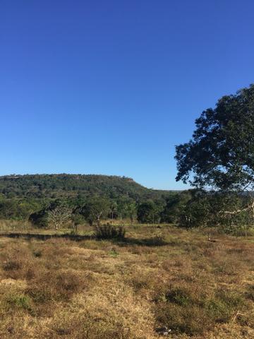 Vendo propriedade 703 hectares - Foto 6