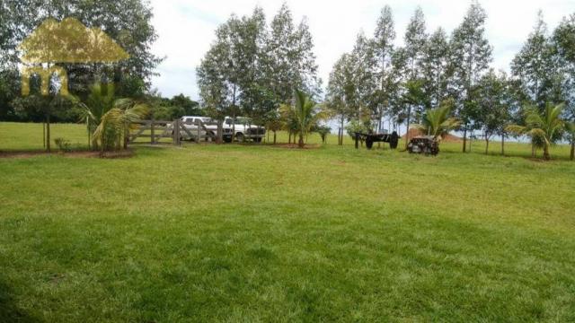 Sítio com 1 dormitório à venda, 96800 m² por R$ 590.000,00 - Zona Rural - Martinópolis/SP - Foto 17