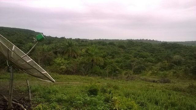 Vendo fazenda em Araçás ba - Foto 4