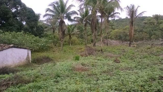 Vendo fazenda em Araçás ba - Foto 10