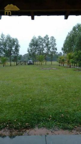 Sítio com 1 dormitório à venda, 96800 m² por R$ 590.000,00 - Zona Rural - Martinópolis/SP - Foto 16