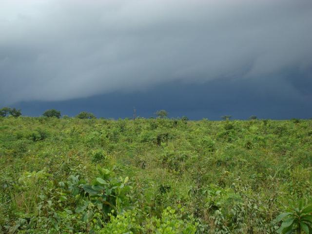 Fazenda com 1.006 hectares, com sede, aberta, para soja e milho - Foto 13