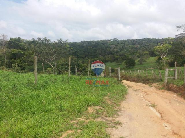Re/max chave de ouro vende fazendas nas margens do rio buranhém - Foto 2