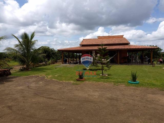 Re/max chave de ouro vende rancho produtivo com casa com 3 dormitórios à venda, 270 m² por - Foto 2
