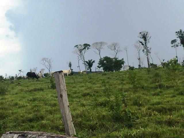 Fazenda 2.904 ha Nova Monte Verde MT - Foto 17