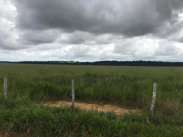 Fazenda 7.600 ha Norte MT