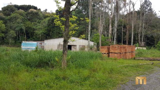 Terreno à venda em Bela vista, Caxias do sul cod:459 - Foto 3