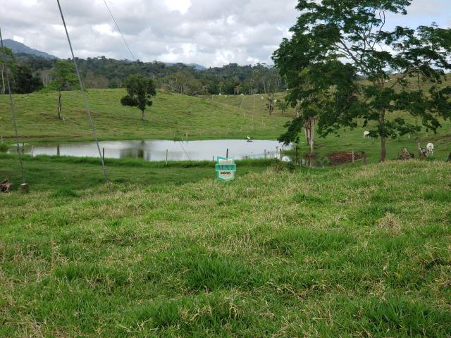 Fazenda espetacular de 284 Hectares. Predominância na PECUÁRIA de corte - Foto 8