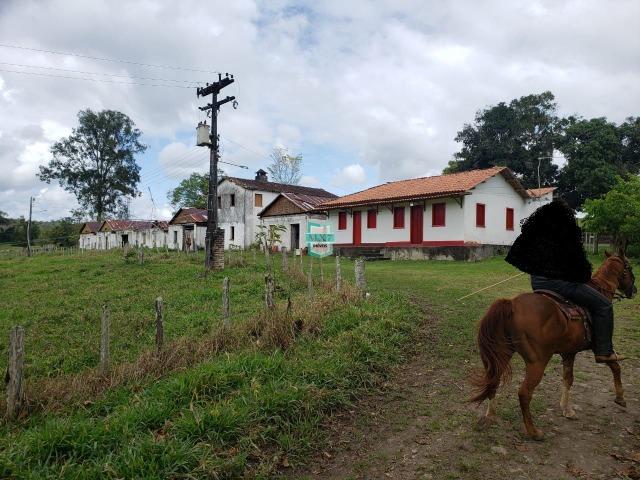 Fazenda espetacular de 284 Hectares. Predominância na PECUÁRIA de corte