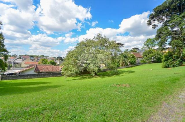 Terreno à venda em Uberaba, Curitiba cod:146250 - Foto 3