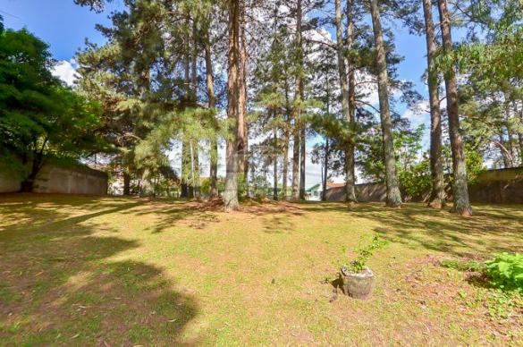 Terreno à venda em Uberaba, Curitiba cod:146250 - Foto 5