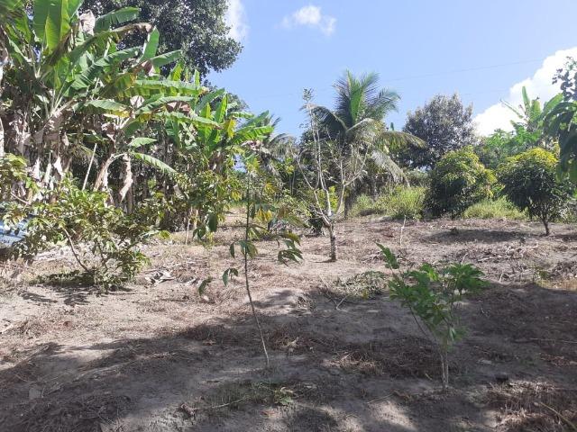 Vendo sítio com 1400 m2 - Foto 12