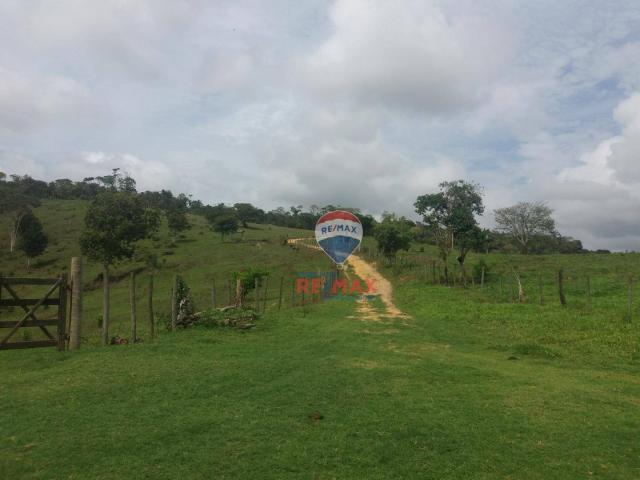 Re/max chave de ouro vende fazendas nas margens do rio buranhém - Foto 15