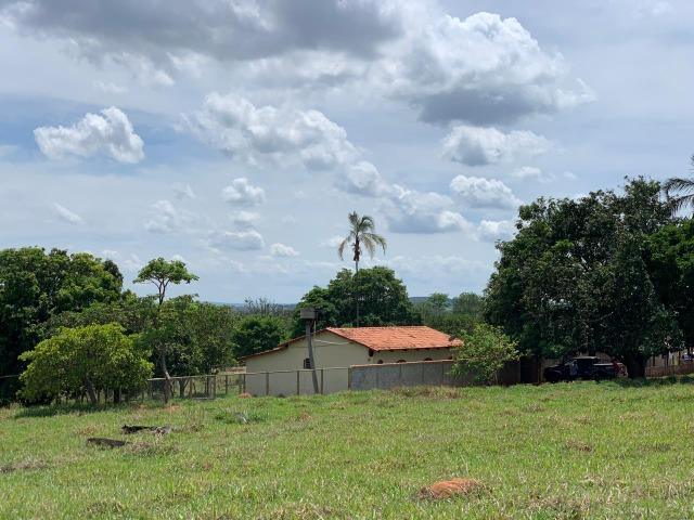 Fazenda Extra em Hidrolândia-GO. 40 km Goiânia - Foto 20