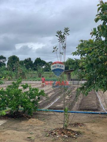 Re/max chave de ouro vende rancho produtivo com casa com 3 dormitórios à venda, 270 m² por - Foto 19