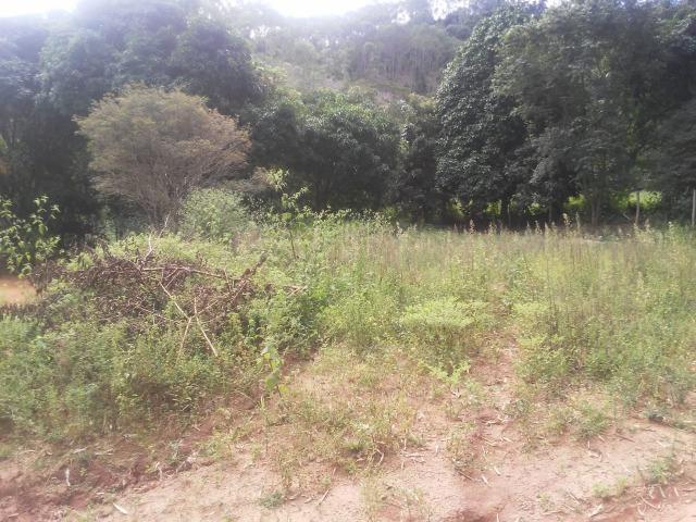 Domingo martins - Foto 5