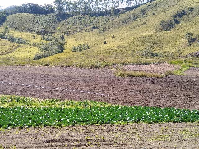 Sitio minis freire 4 alqueires - Foto 18