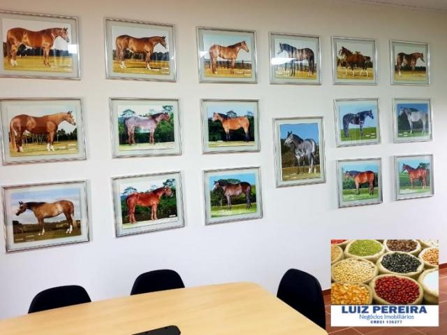 FAZENDA A VENDA DE 5.159 hECTARES EM BONITO - MS (Dupla aptidão) - Foto 20