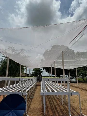 Montagem e consultoria em hidroponia  - Foto 2