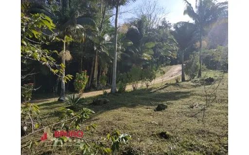 Sitio, bairro Betânia, Angelina - SC - Foto 2