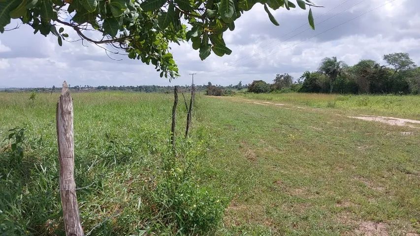 Terrenos - Feira de Santana - Humildes 200 m2 - Foto 7