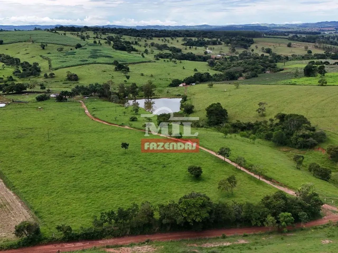Chácara 6 alqueires ( 29,06 hectares ) Inhumas- GO - Foto 11