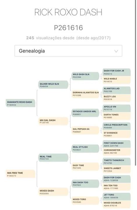 Cavalo Quarto de Milha Puro - Foto 5