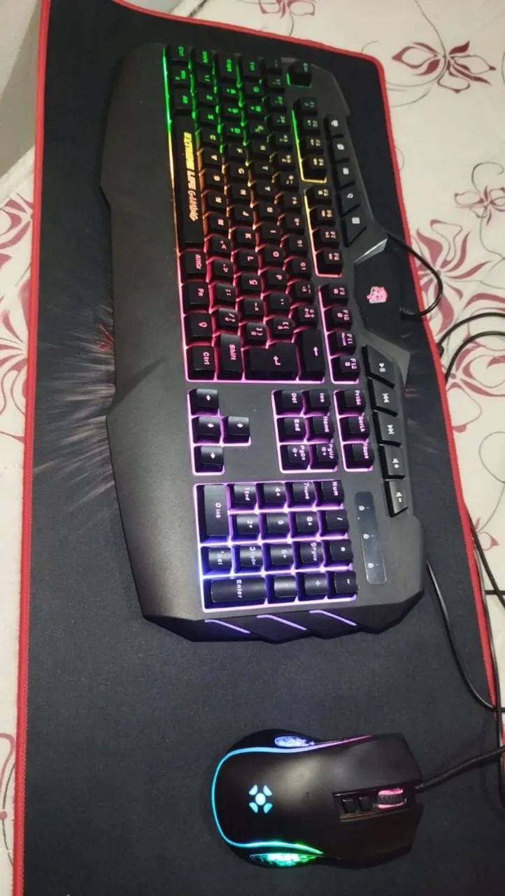 Teclado e mouse gamer