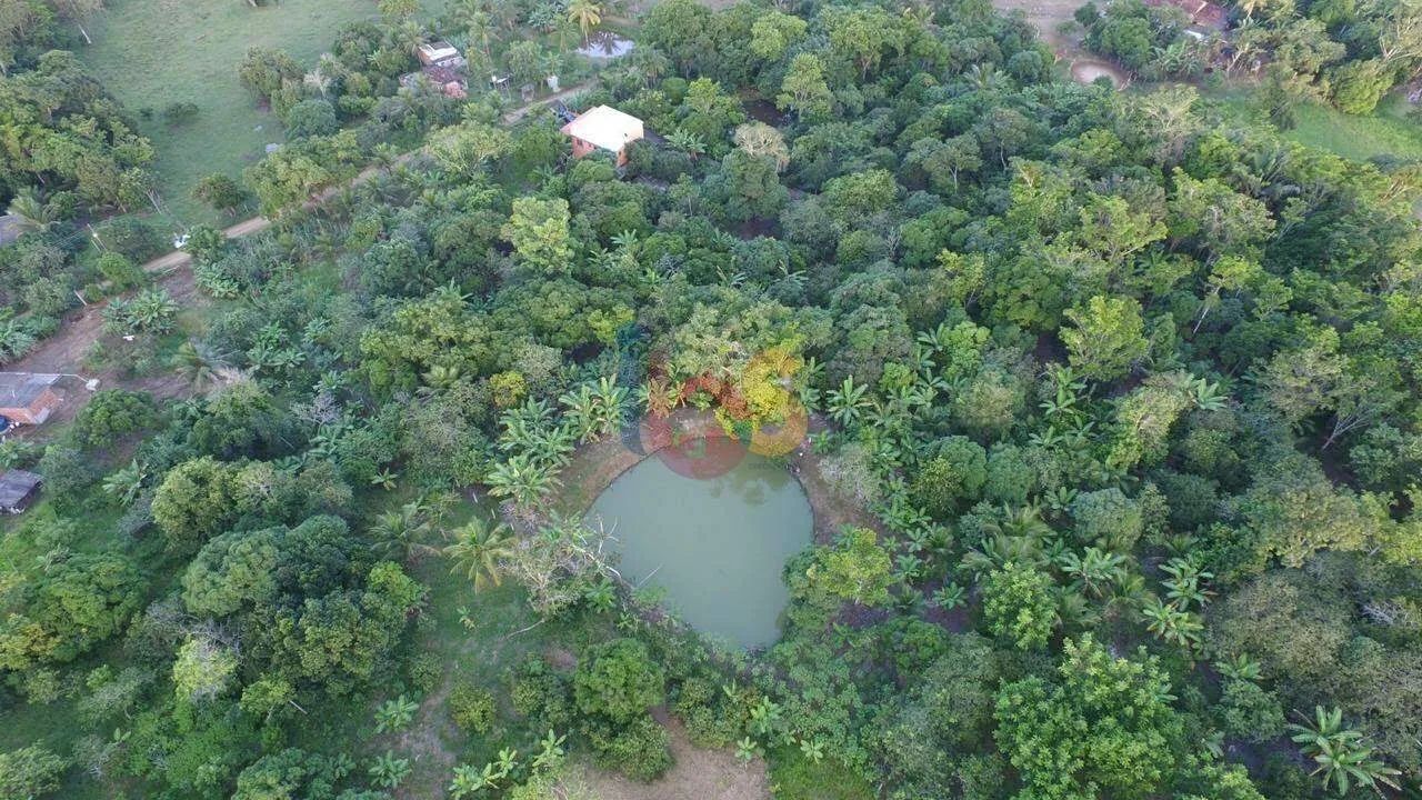 VENDO SÍTIO NA ROÇA DO POVO COM 1,29 HA - Foto 2