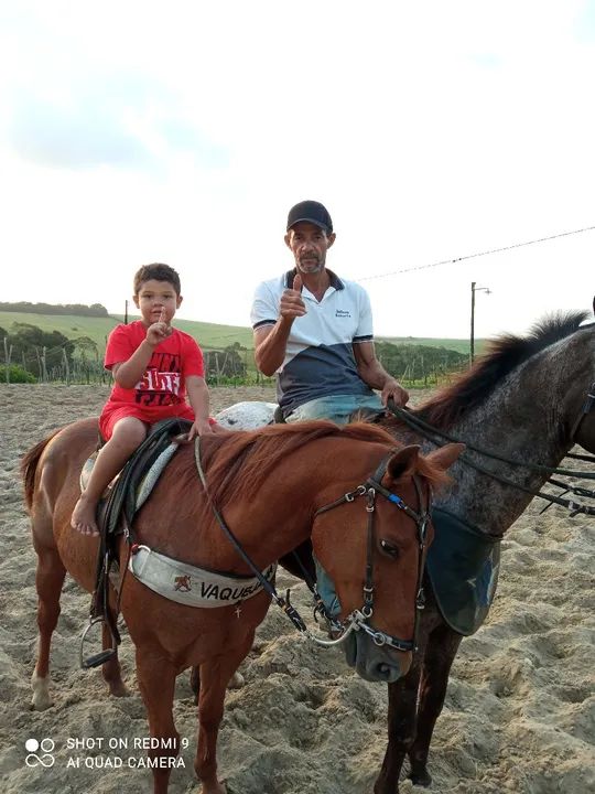 uma pareinha de cavalo de vaquejada  - Foto 2
