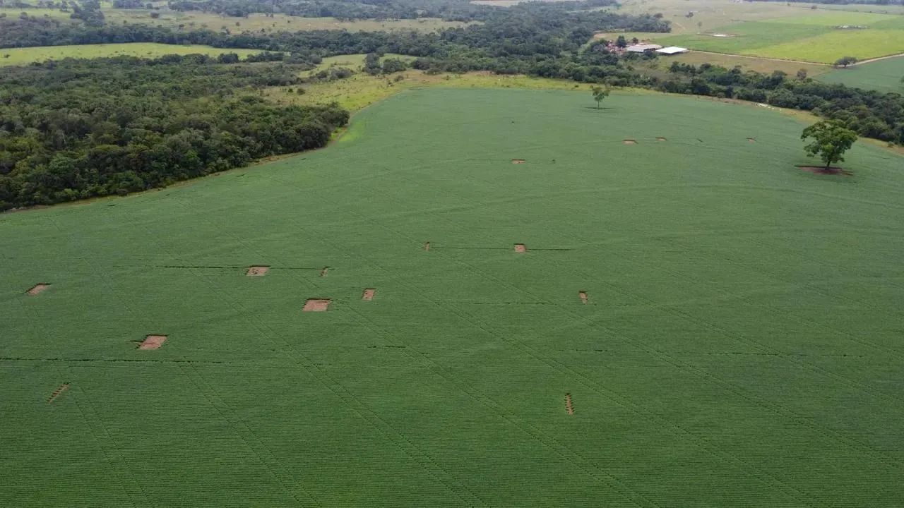 Fazenda dupla aptidão 34 alqueires,Itaberaí - Foto 5