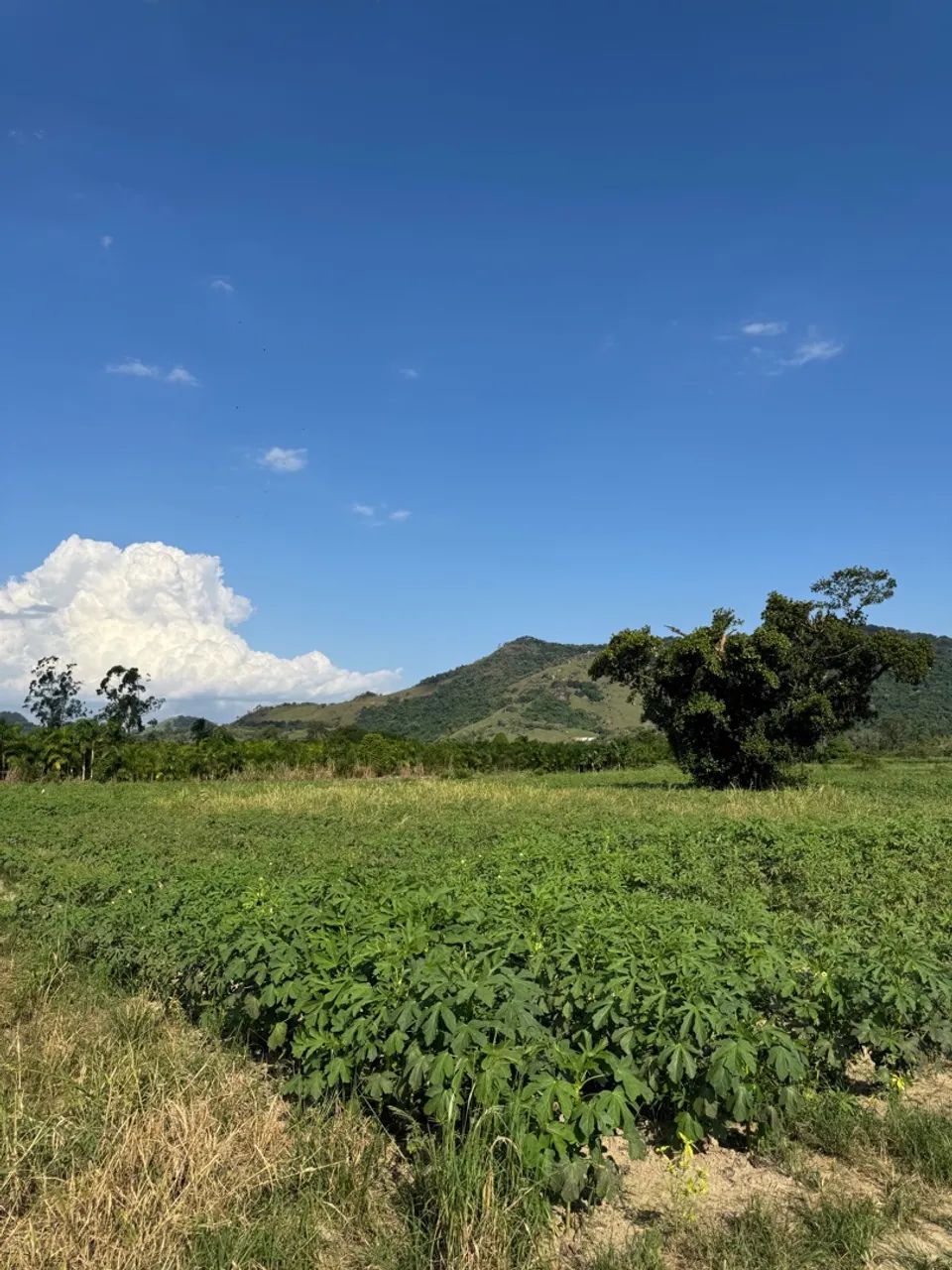 Sítio a venda no Rio do Ouro - Piabetá/Magé