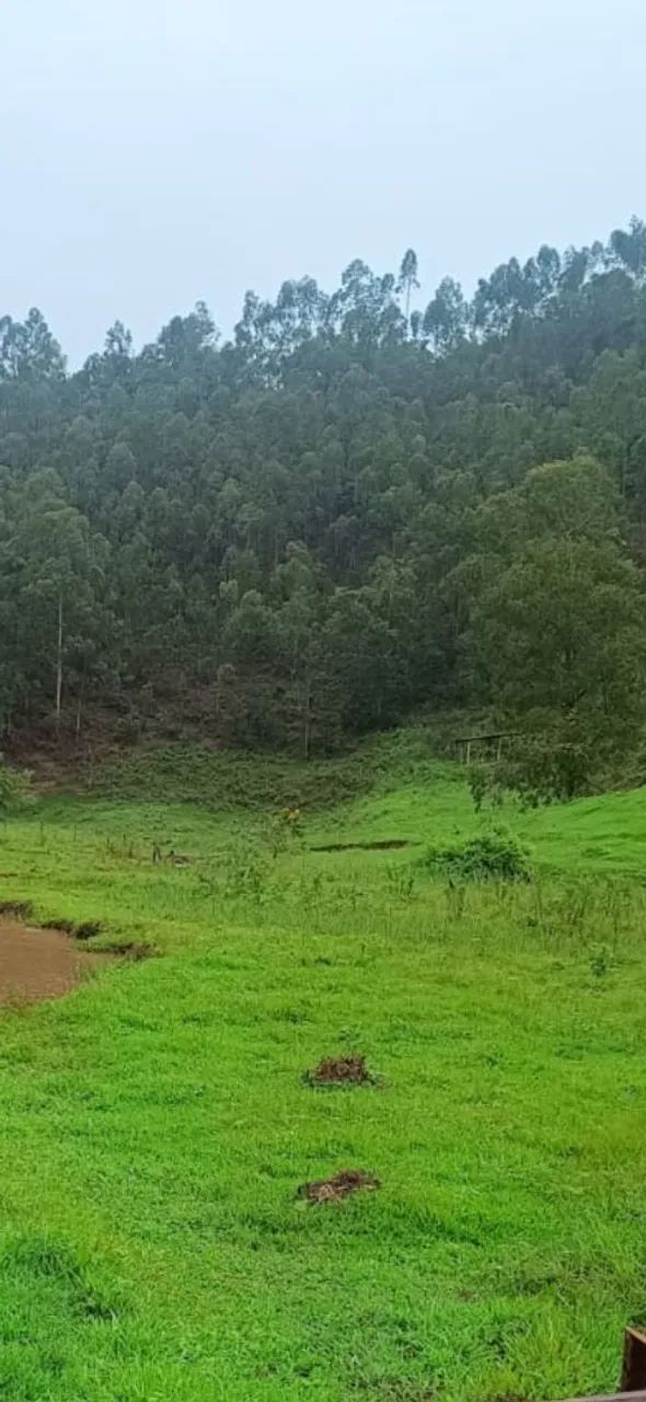 Este é o momento de concretizar seus sonhos! black sitios entre 2.000 mil metros e 6.700  - Foto 2