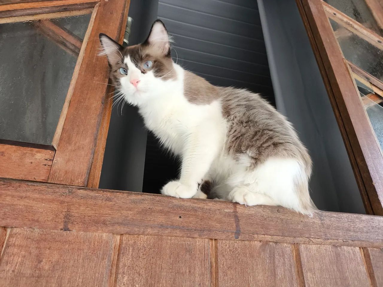 DOAÇÃO RESPONSÁVEL 