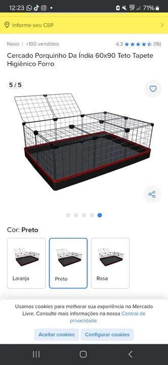 adoção de porquinho da india-duas fêmeas-cercado incluso (porém o cercado precisa pagar) - Foto 2