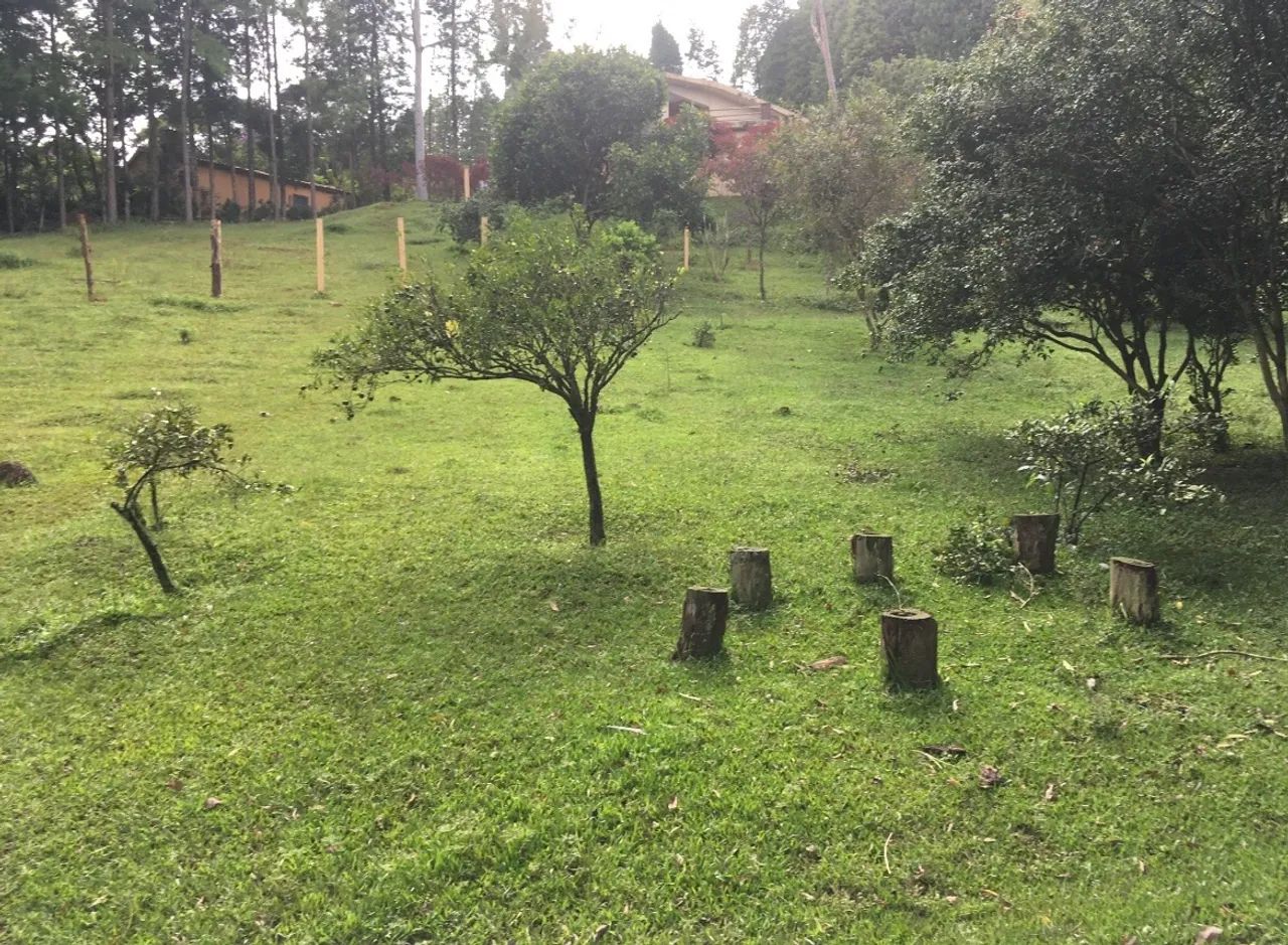 Foto - São Paulo - Parque São Lucas