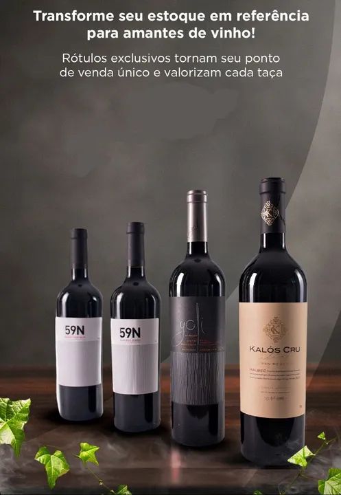 VINHOS TINTO ARGENTINOS  - Foto 2