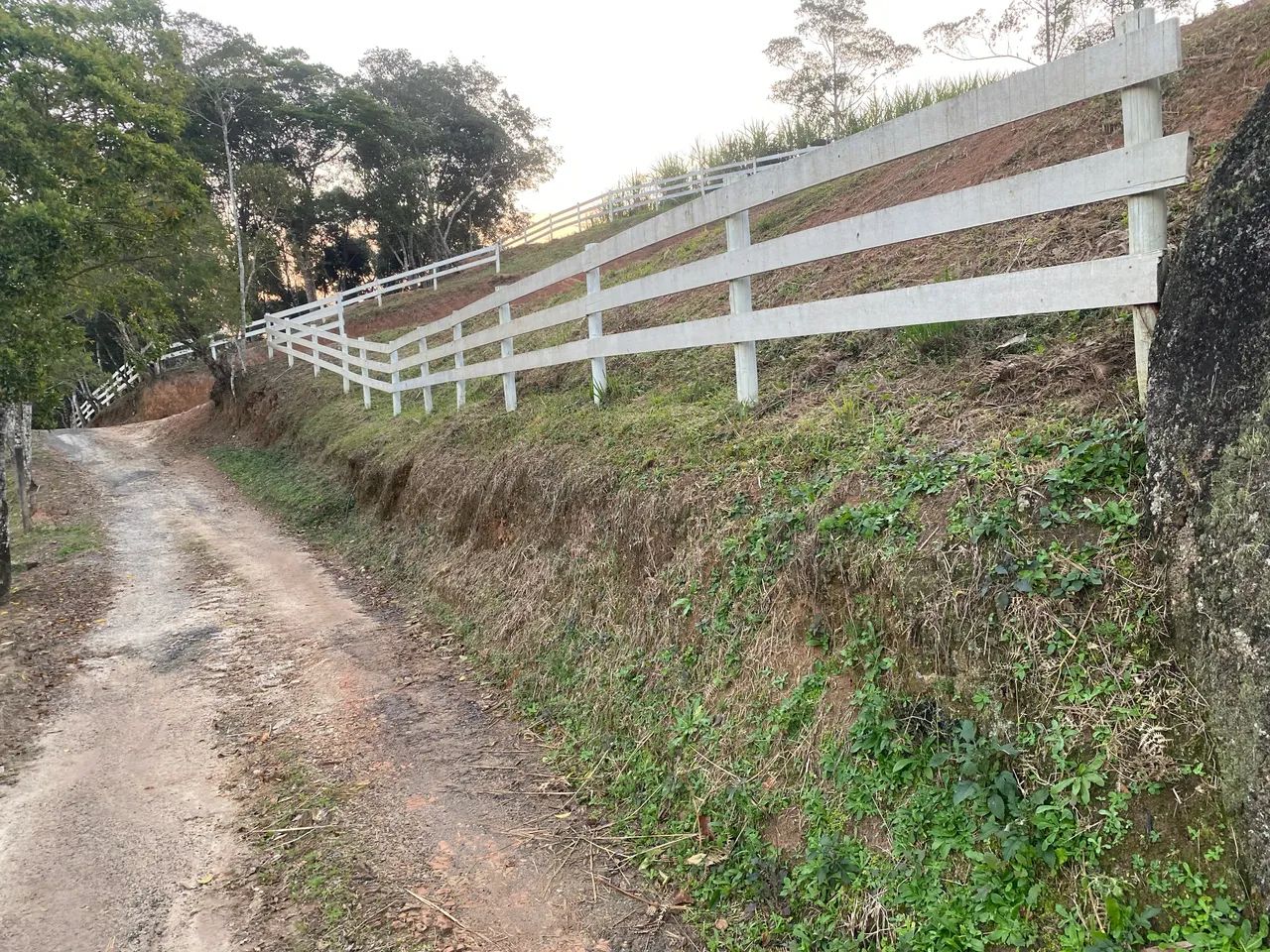 Foto - Palhoça - Aririú