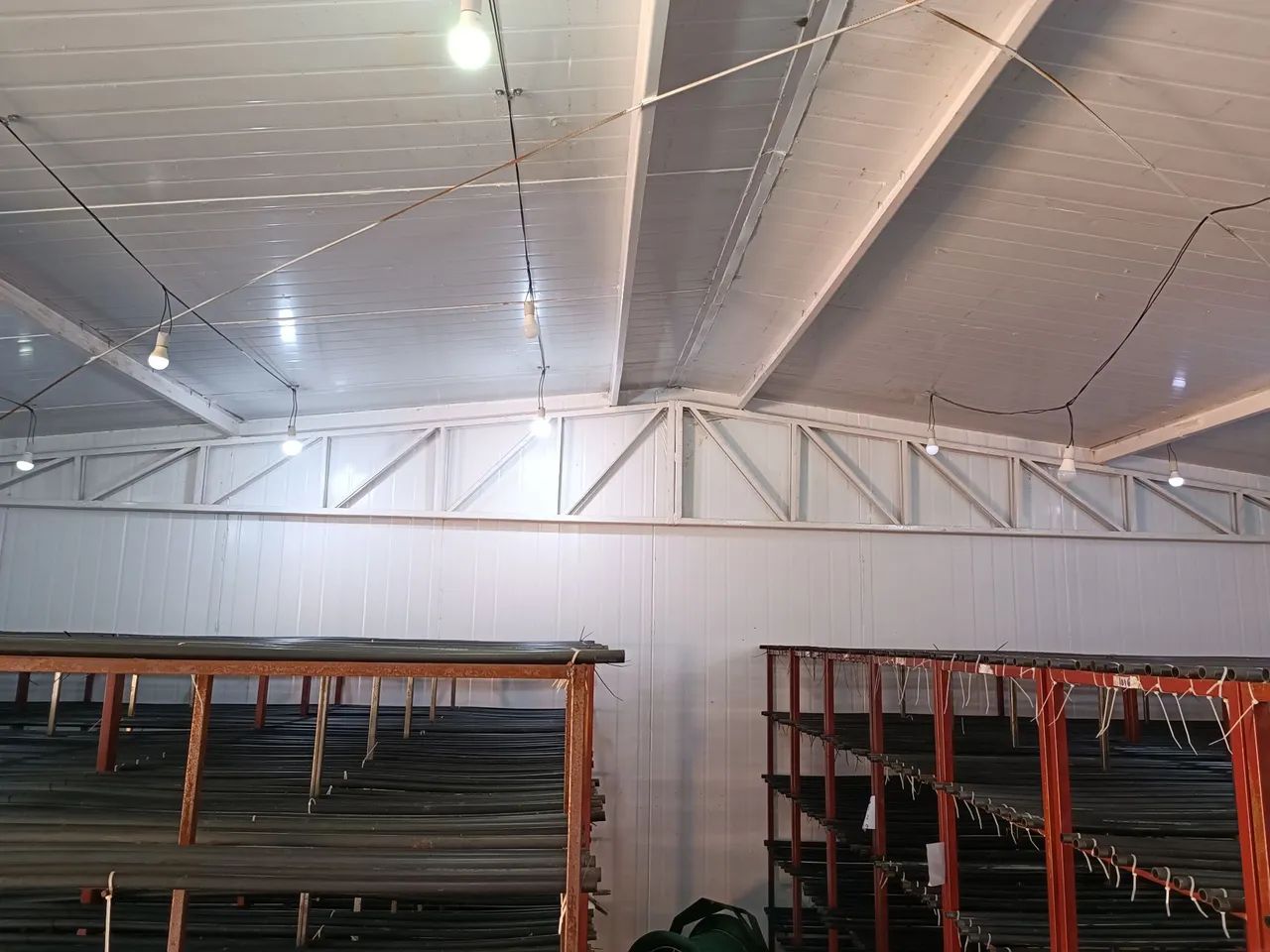 Galpão para produção controlada - Estava com Cogumelos  - Foto 5