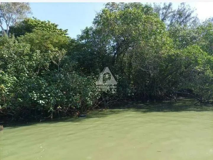 O terreno dentro da Ilha do Ipê - Foto 3