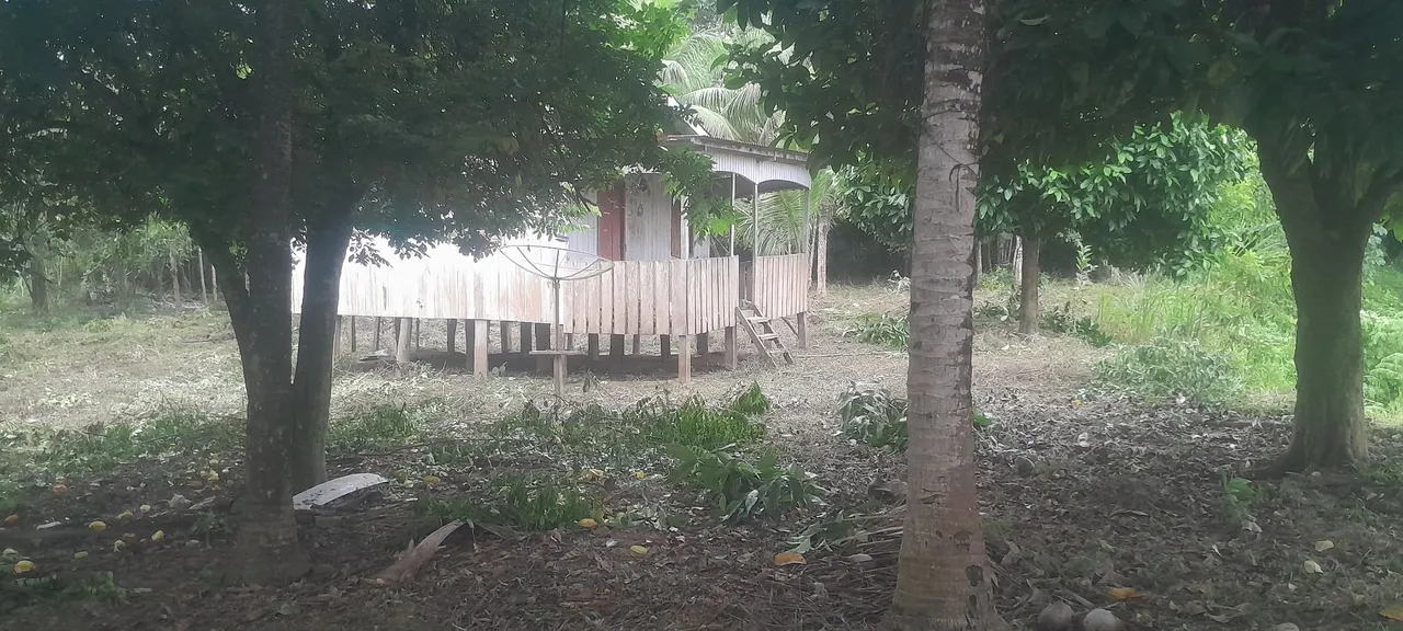 Vendo uma colônia no município de capixaba ac