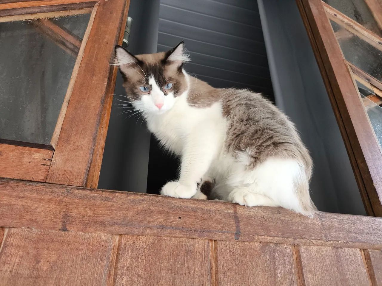 DOAÇÃO RESPONSÁVEL  - Foto 2