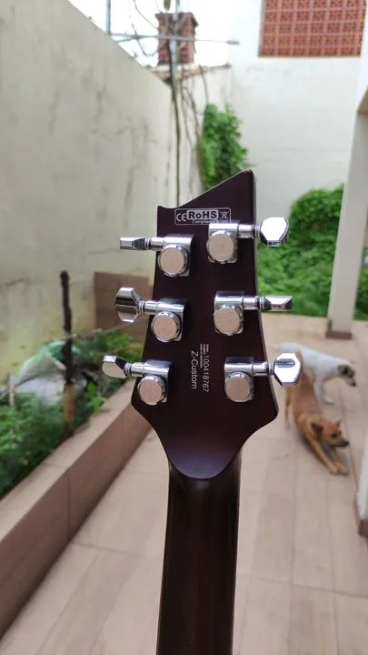 Guitarra Cort Les Paul Z-Custom (PRS) - Foto 6