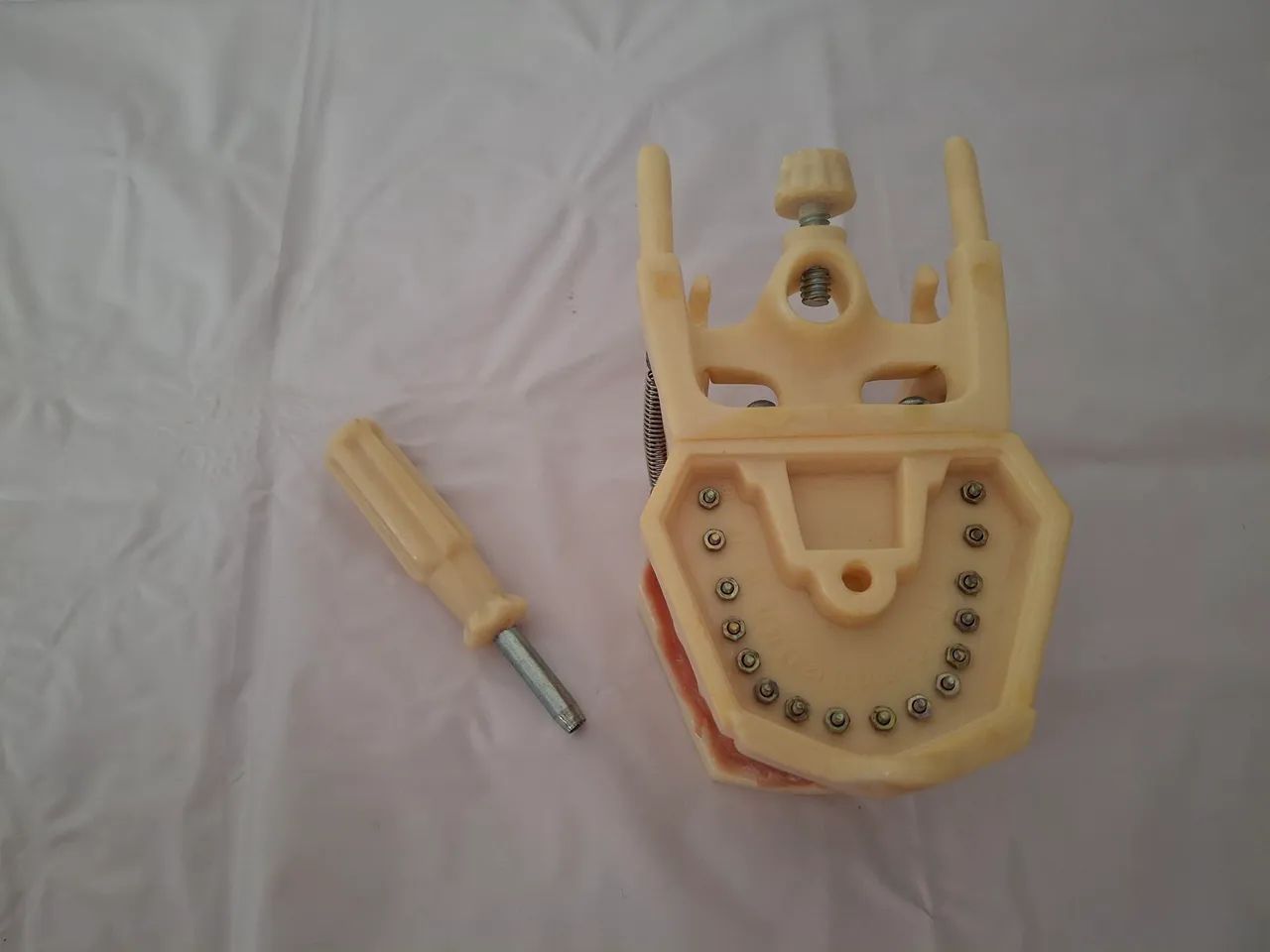 Manequim Odontológico Dent-art para Dentística - Foto 5