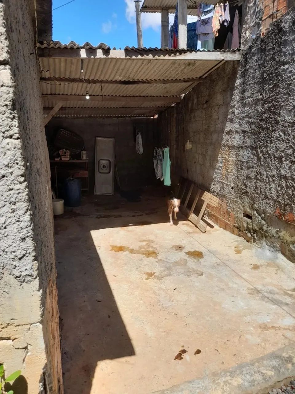Foto - Lauro de Freitas - Caji